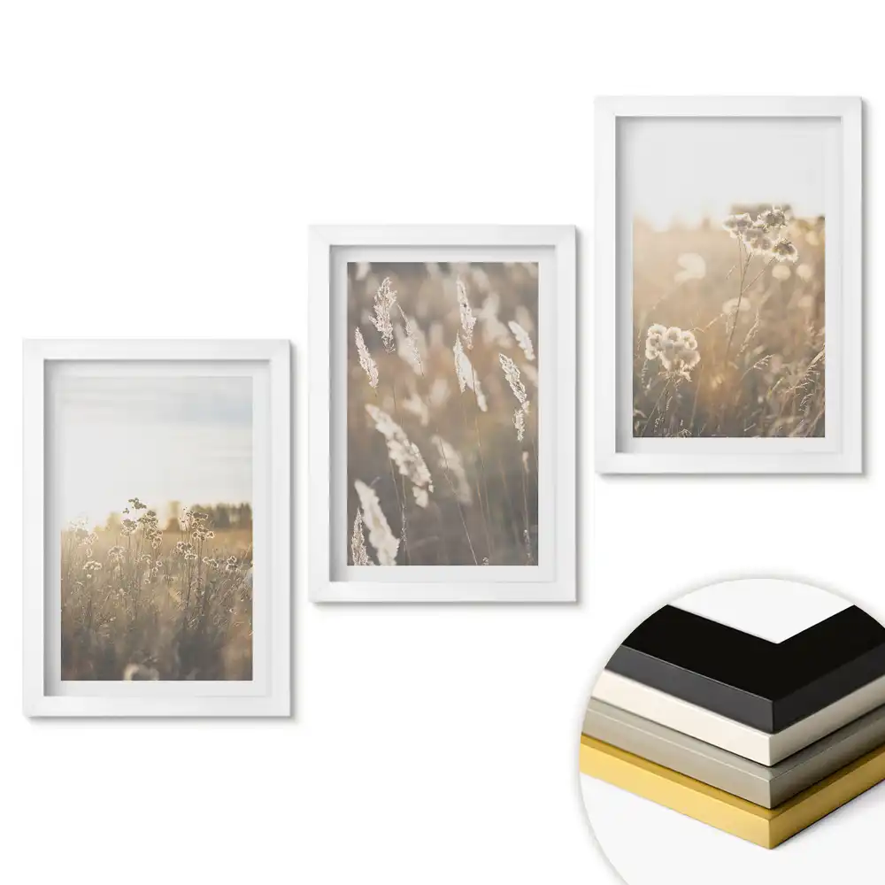 Set tablouri living Peisaje florale în lumină blândă