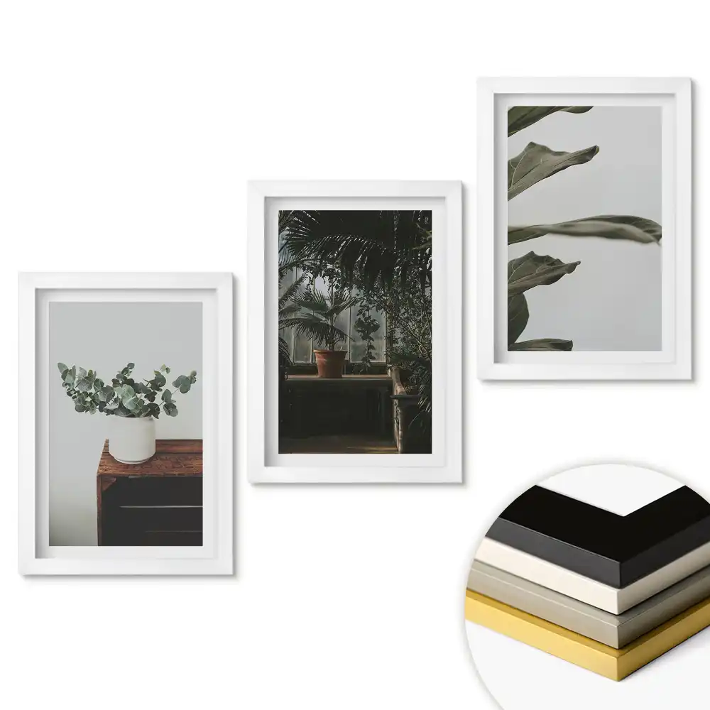 Set tablouri pentru living cu plante într-un interior modern
