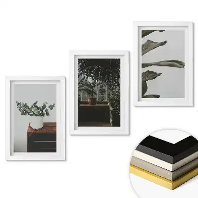 Set tablouri living Plante într-un interior modern