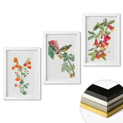 Set tablouri living Flori și păsări colorate în natură