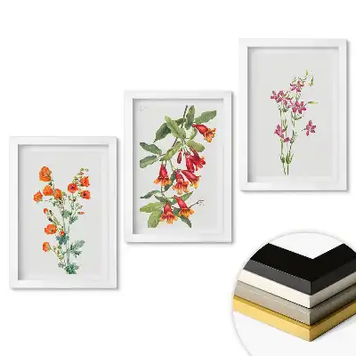 Set 3 tablouri dormitor Flori colorate în ilustrații delicate