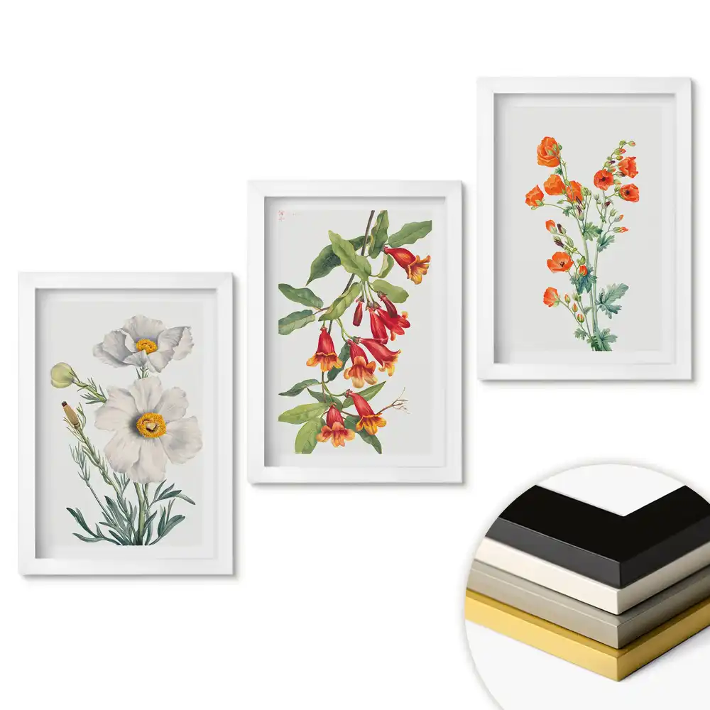 Set de tablouri pentru living cu ilustrații florale delicate