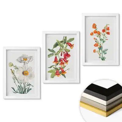Set tablouri living Inspirații florale în ilustrații delicate