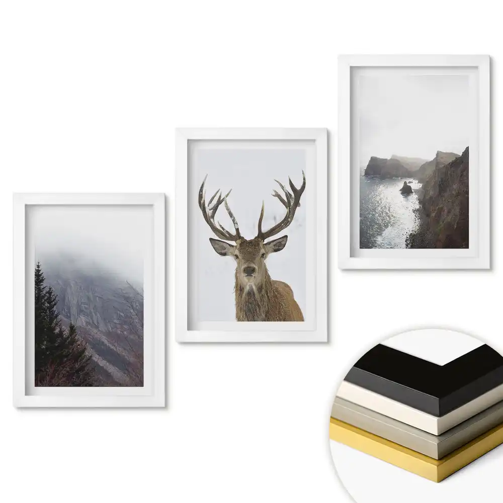 Set de 3 tablouri pentru dormitor cu tematică natură în trei versiuni