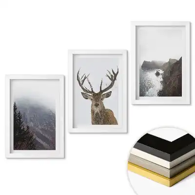 Set 3 tablouri dormitor Natura în trei versiuni