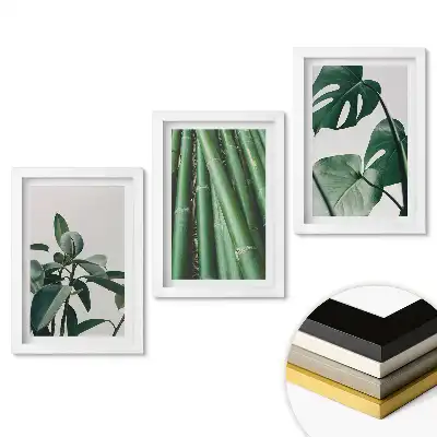 Set tablouri living Frunze verzi în fotografii elegante