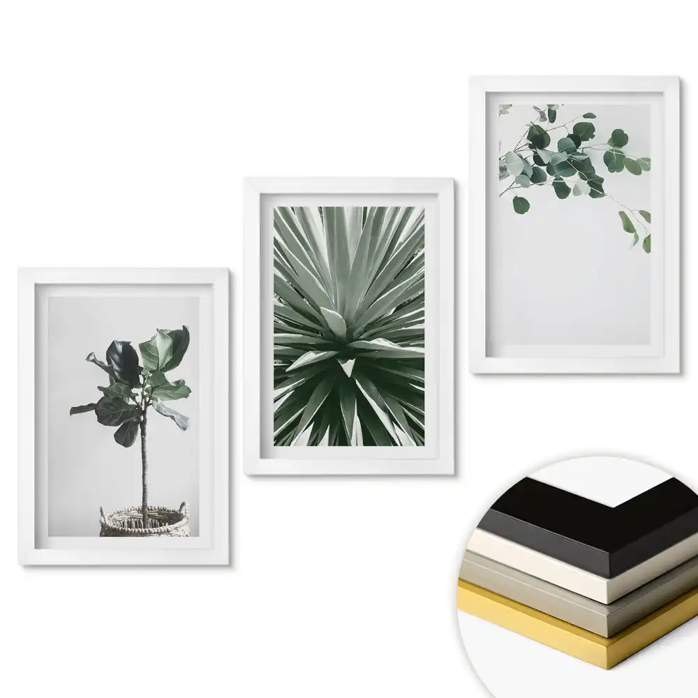 Set de tablouri pentru living cu design minimalist inspirat din plante
