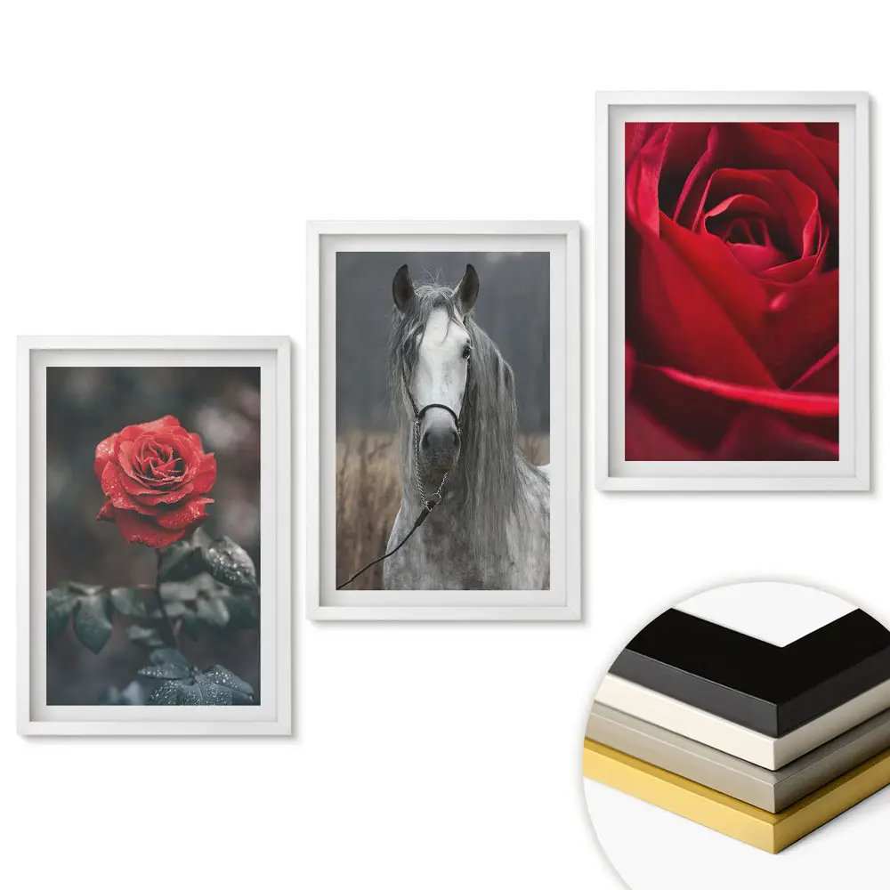 Set de 3 tablouri pentru living cu flori și un cal