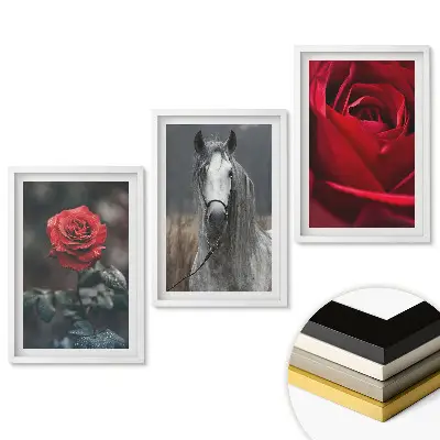 Set de 3 tablouri pentru living cu flori și un cal