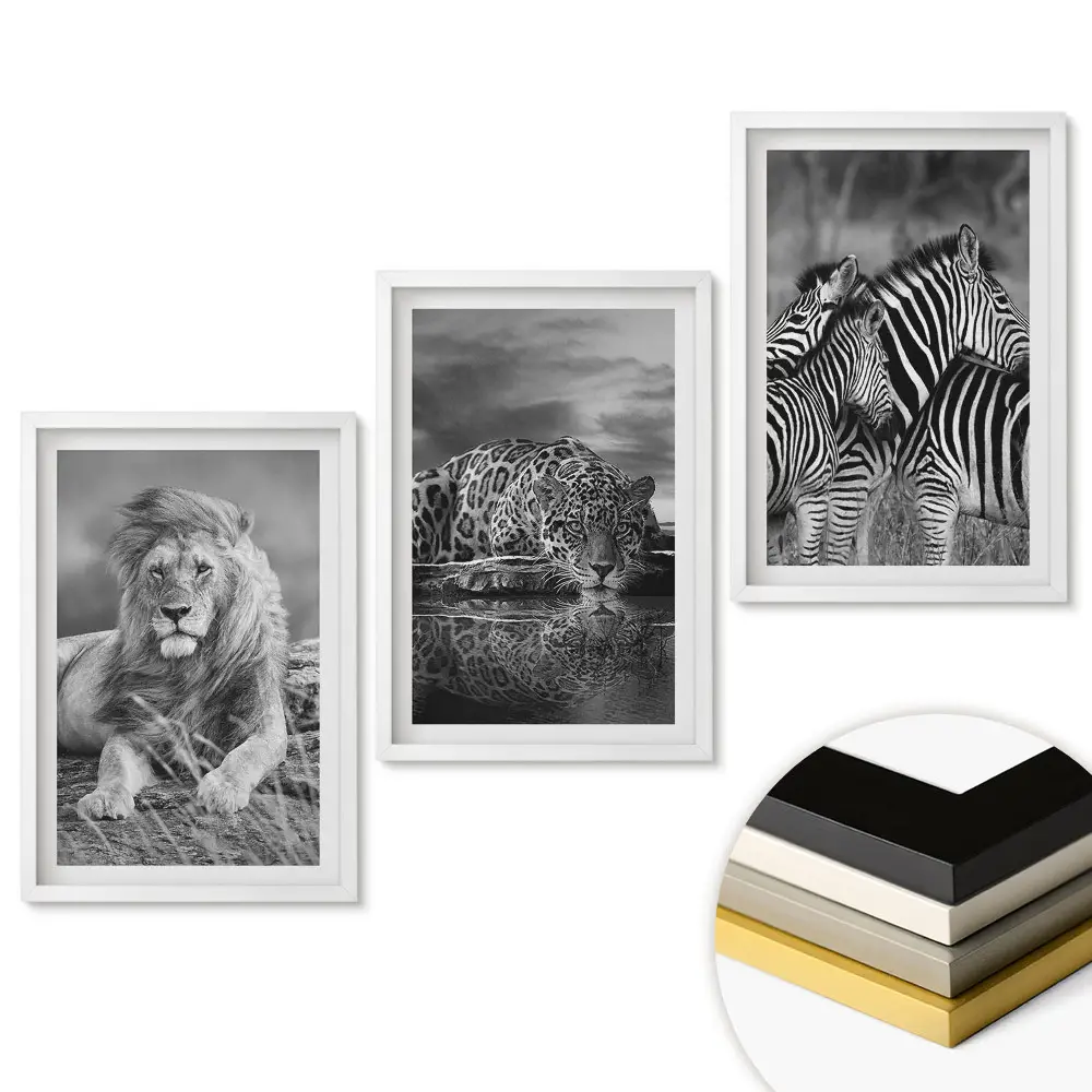 Set de 3 tablouri pentru living cu tematică natură sălbatică în stil monocrom