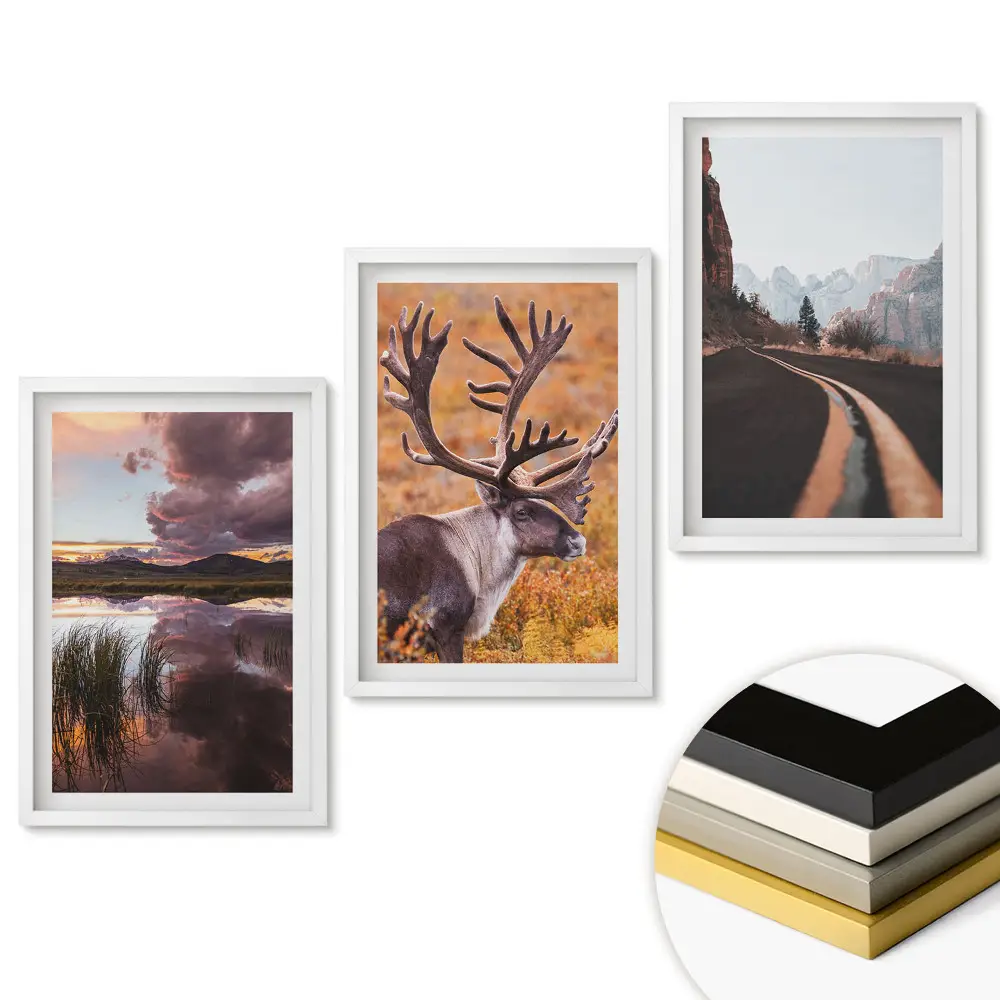 Set 3 tablouri living Natura în trei versiuni