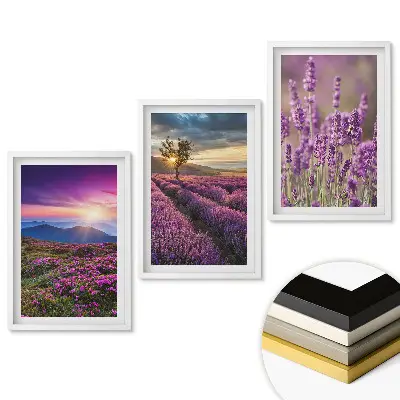 Set 3 tablouri living Peisaje cu câmpuri de lavandă la apus