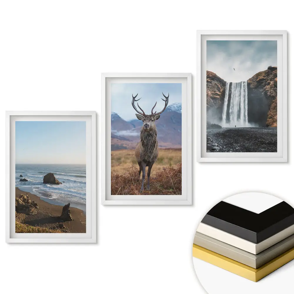 Set de 3 tablouri pentru living cu tematică Natura în trei versiuni