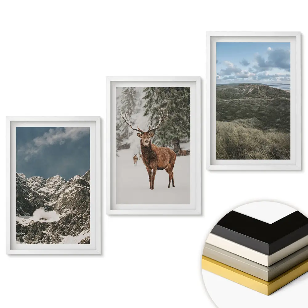 Set tablouri living Natura în trei versiuni