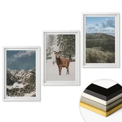 Set tablouri living Natura în trei versiuni