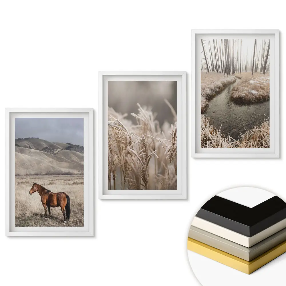 Set 3 tablouri pentru living cu peisaje naturale în stil minimalist
