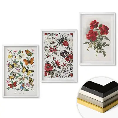 Set tablouri living Flori și fluturi într-o combinație armonioasă