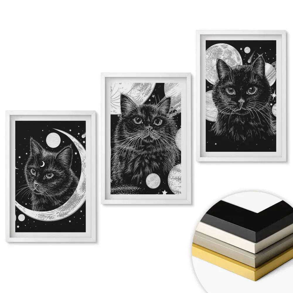 Set 3 tablouri living Pisici într-o scenă de noapte cosmică
