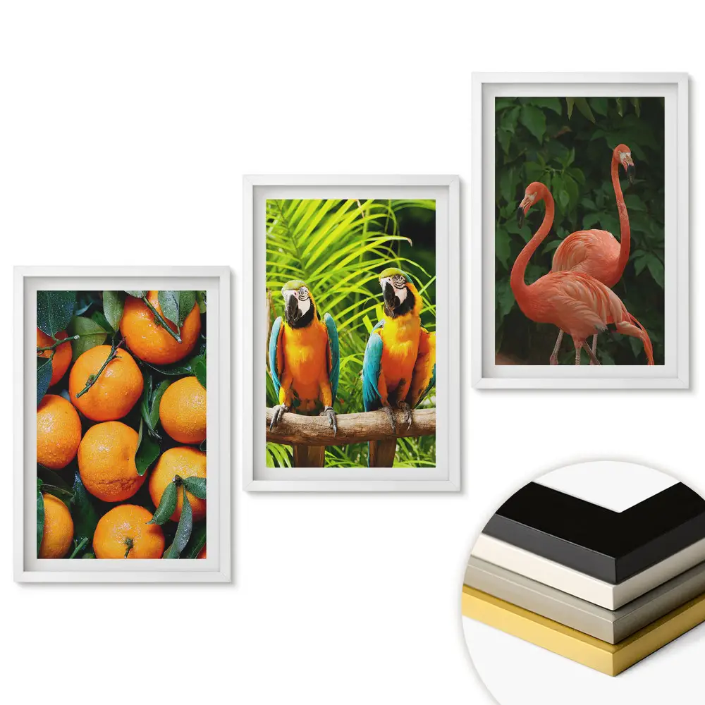 Set de trei tablouri pentru living cu peisaj natural colorat