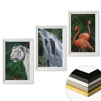 Set 3 tablouri living Animalele și natura în armonie