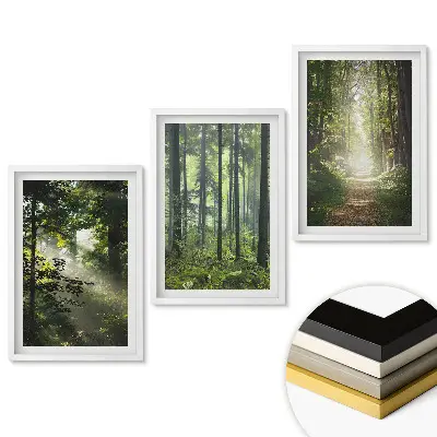 Set 3 tablouri living Oaze verzi de pace în pădure