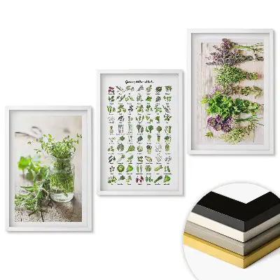 Set tablouri living Ierburi și plante în arta decorativă