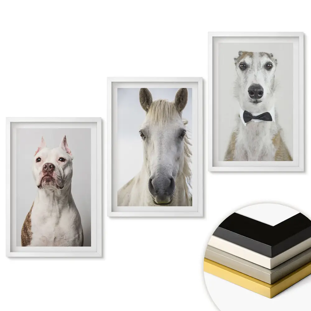 Set de tablouri pentru living cu portrete elegante de animale