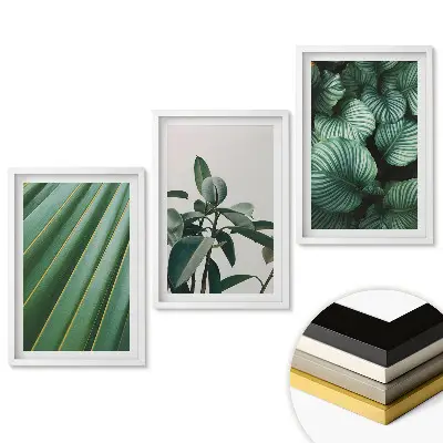 Set 3 tablouri pentru living Armonie verde