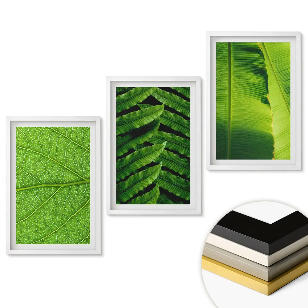 Set tablouri pentru living Armonia verde a naturii cu design grafic