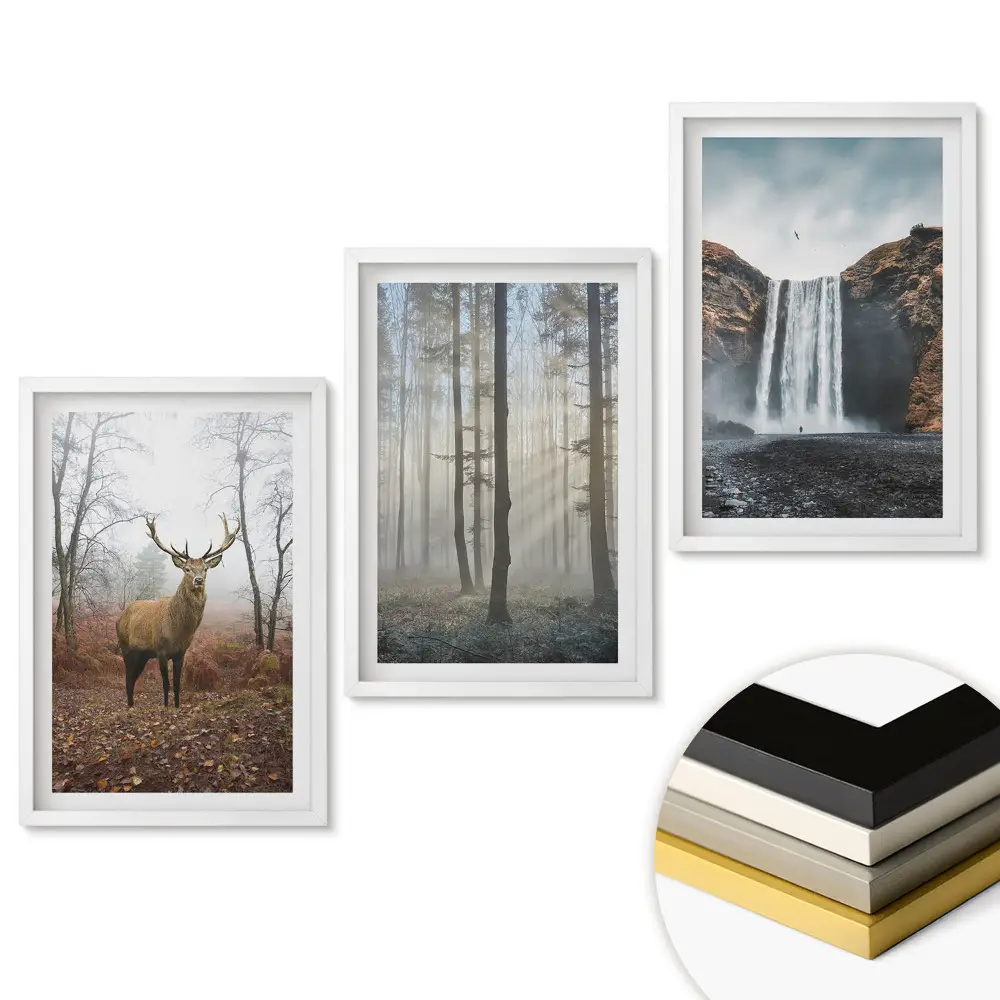 Set 3 tablouri living Natura în trei versiuni diferite