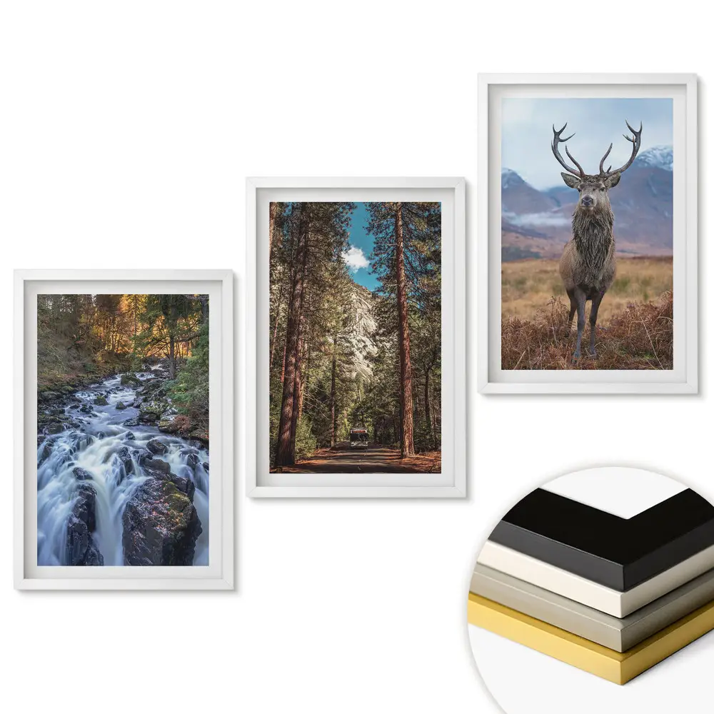 Set 3 tablouri living Natura în trei versiuni