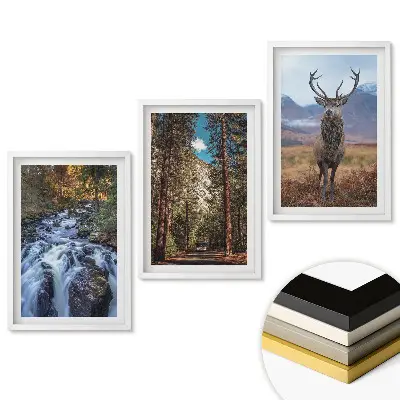 Set 3 tablouri living Natura în trei versiuni