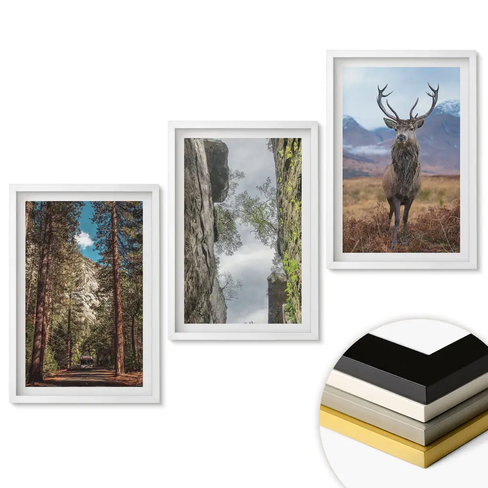Set tablouri living Natura în trei versiuni