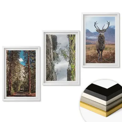 Set tablouri living Natura în trei versiuni