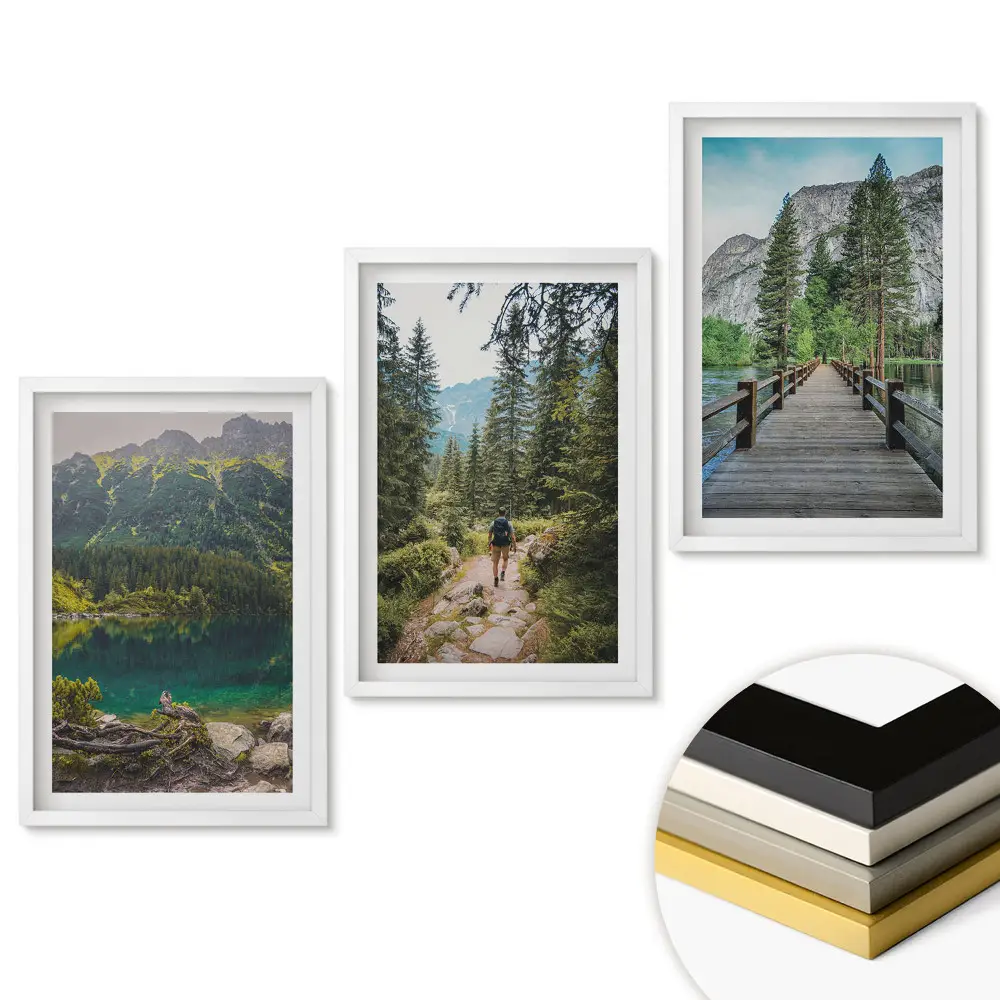 Set 3 tablouri living Natura în trei versiuni