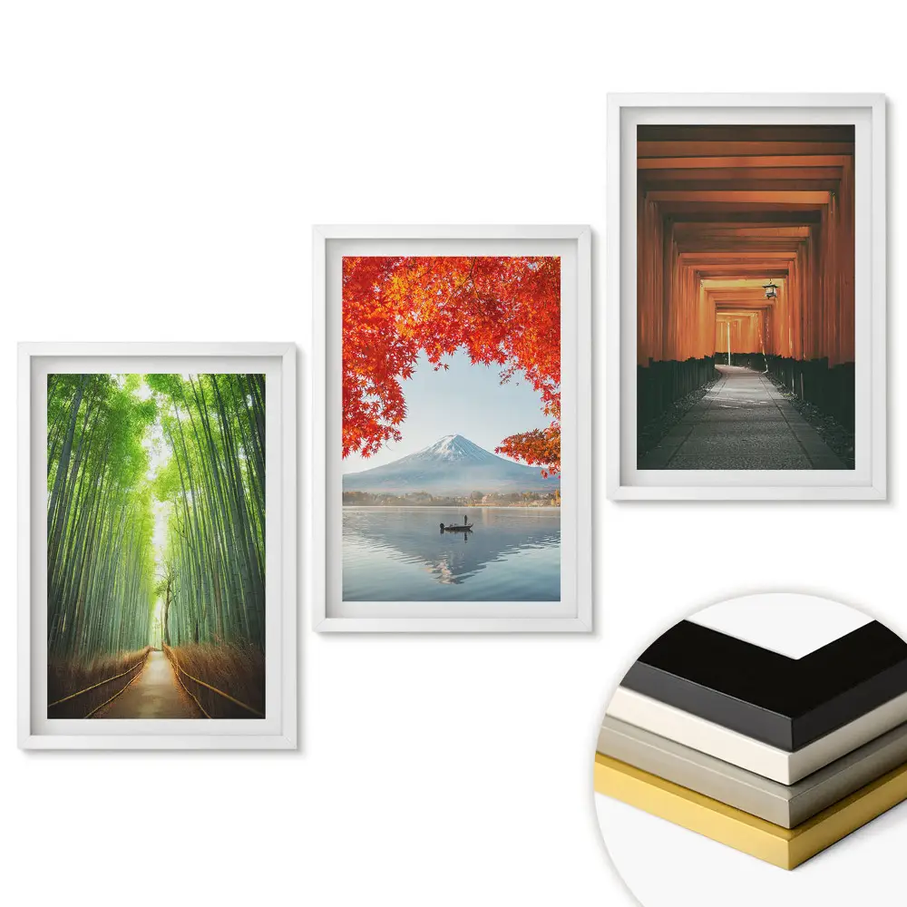 Set 3 tablouri living Frumusețe naturală în trei versiuni