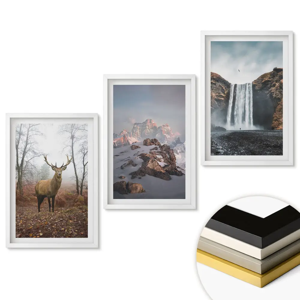 Set de 3 tablouri pentru living cu tematică Natura în trei versiuni