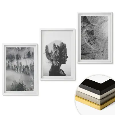 Set 3 tablouri living Natură și reflecții într-un stil minimalist