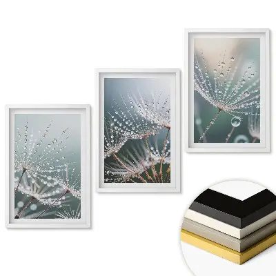 Set tablouri living Picături de rouă pe pene delicate