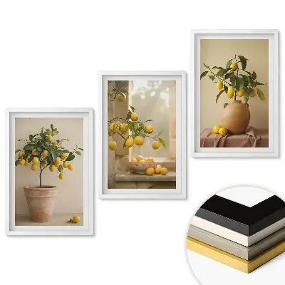 Set 3 tablouri pentru living Farmecul citricelor