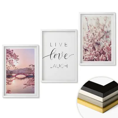 Set 3 tablouri living Flori și un mesaj inspirator al vieții