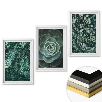 Set de trei tablouri pentru living Armonia verde a naturii