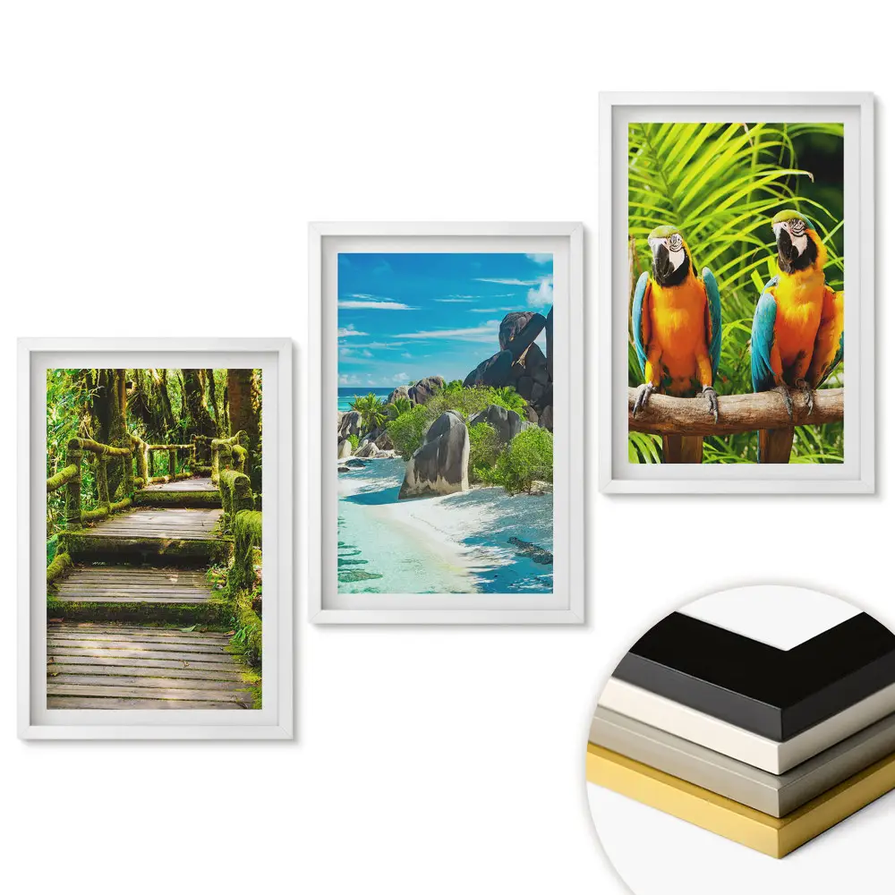 Set tablouri living Peisaje tropicale și păsări colorate