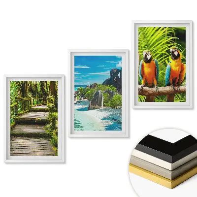 Set tablouri living Peisaje tropicale și păsări colorate