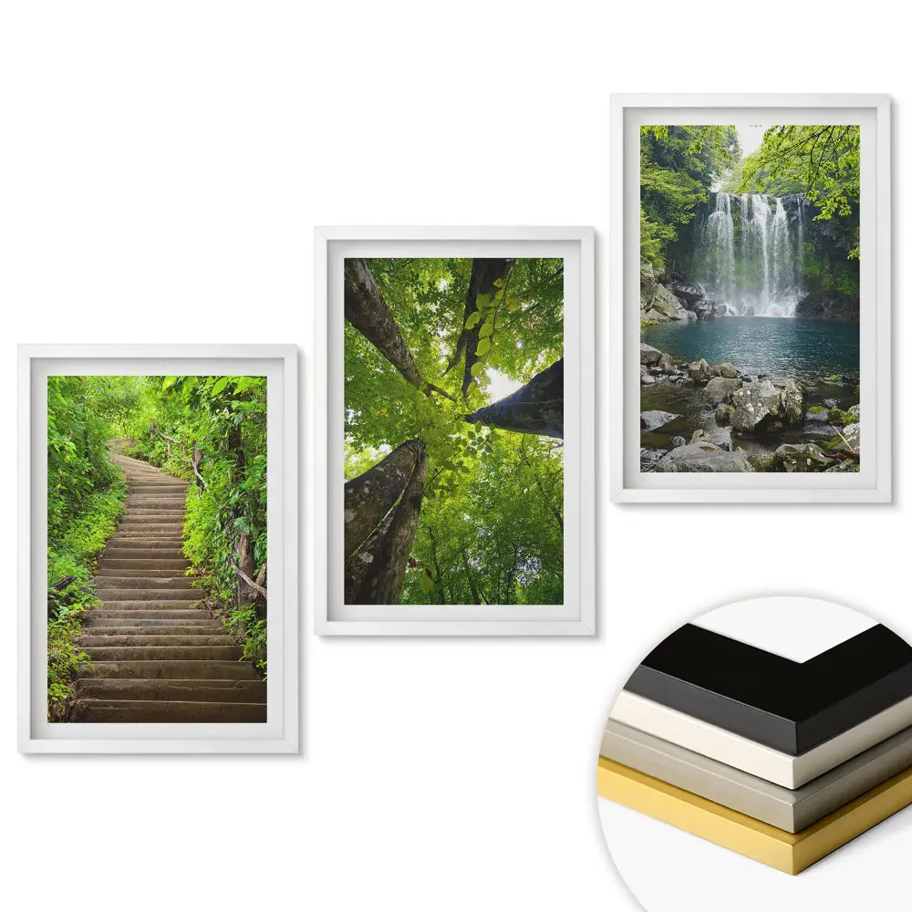 Set 3 tablouri living O oază verde de natură și liniște
