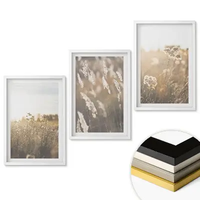 Set 3 tablouri living Peisaje florale în lumină blândă