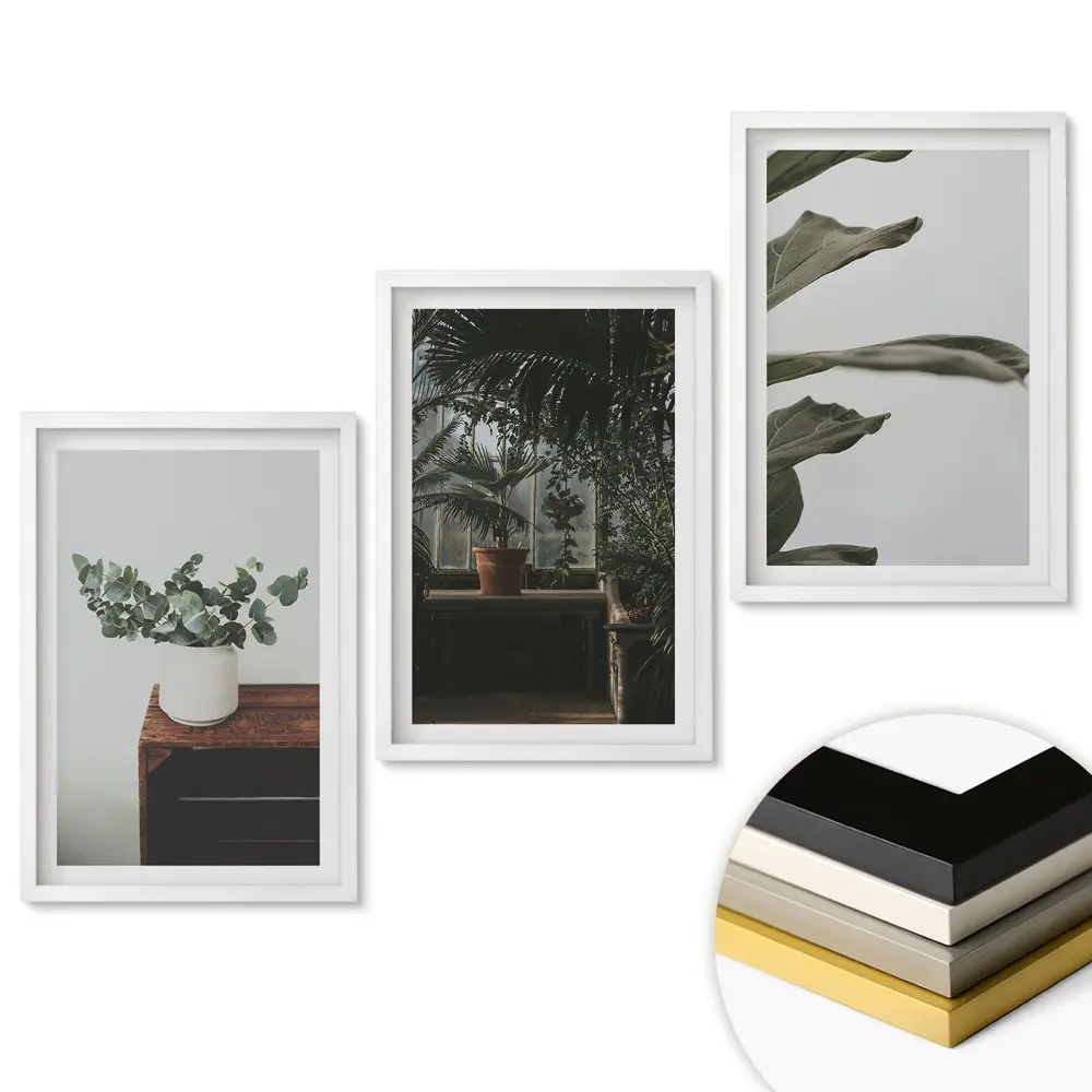 Set 3 tablouri living Plante într-un interior modern