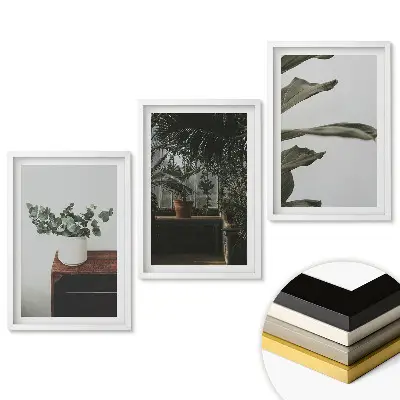 Set 3 tablouri living Plante într-un interior modern
