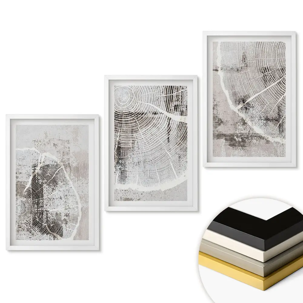 Set 3 tablouri pentru living Frumusețe naturală în stil minimalist