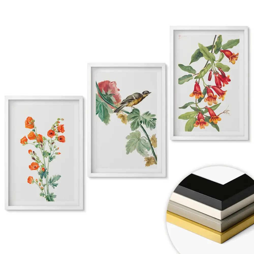 Set 3 tablouri living Flori și păsări colorate în natură